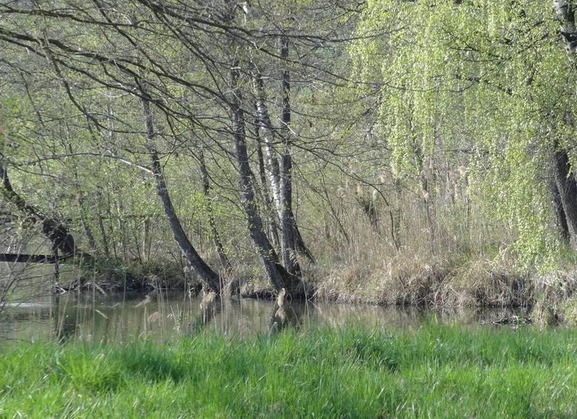 Sonstige Foto
