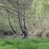 Sonstige