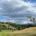 Sonstige