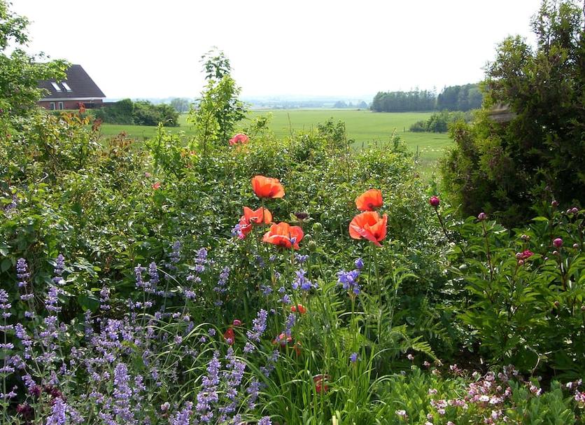 Außenansicht Foto
