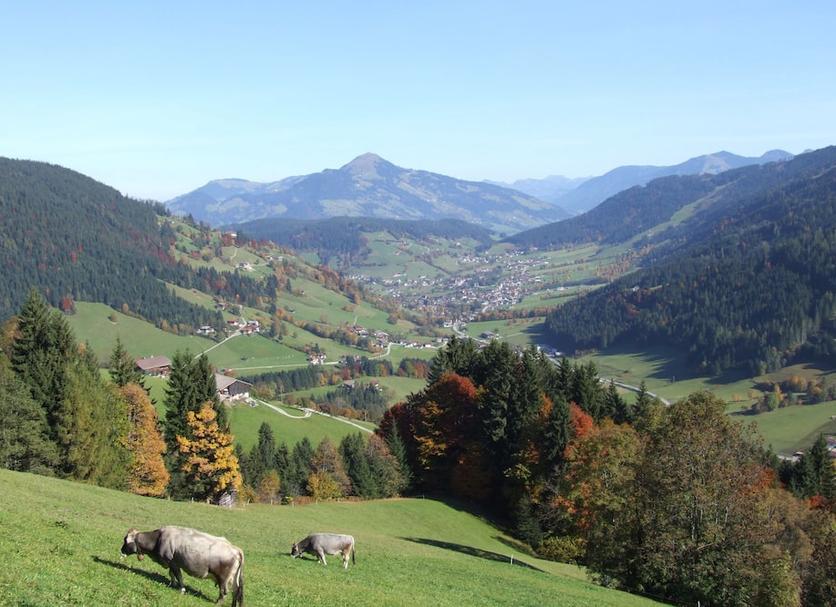 Außenansicht Foto