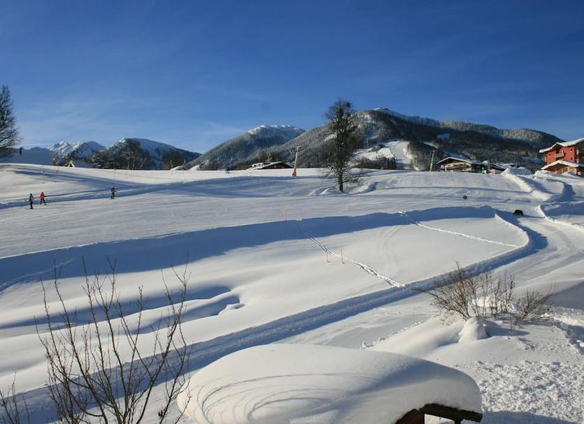 Sonstige Foto