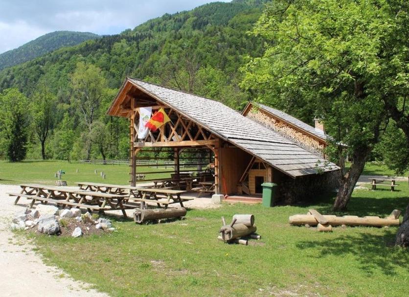 Sonstige Foto