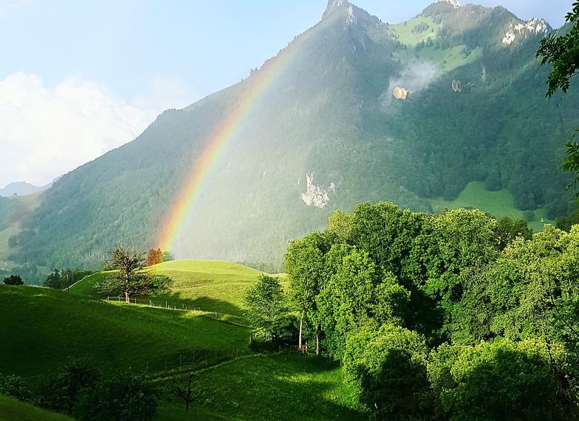 Außenansicht Foto