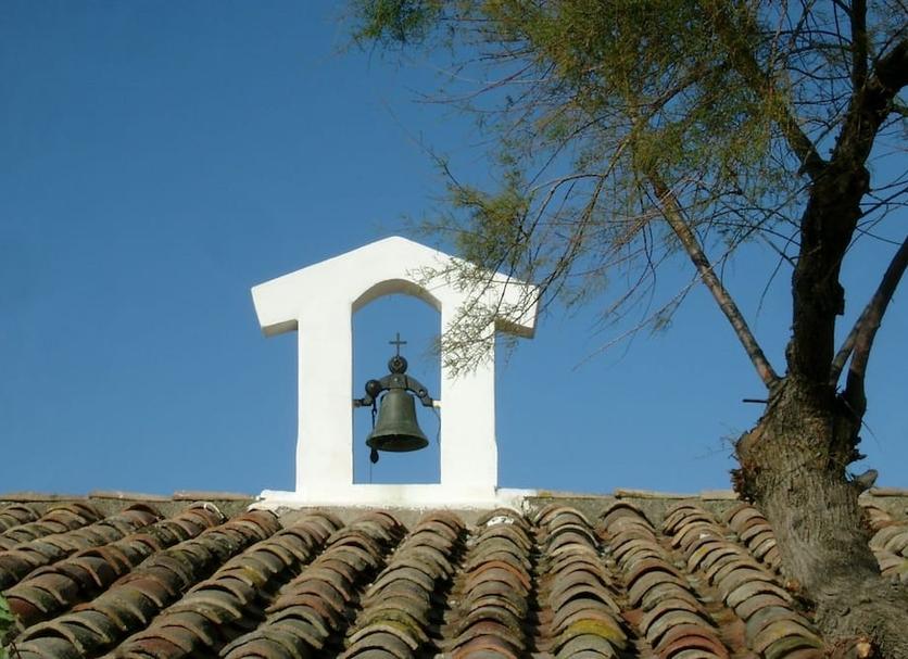 Sonstige Foto