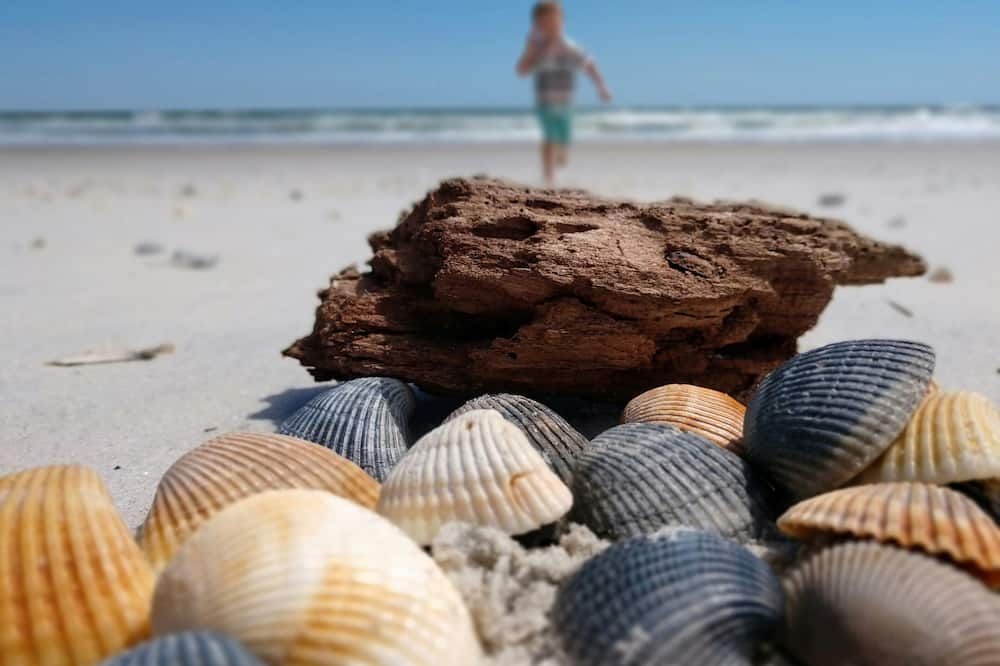 Strand Foto