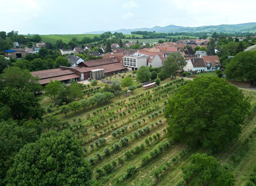 Außenansicht Foto