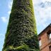 Sonstige