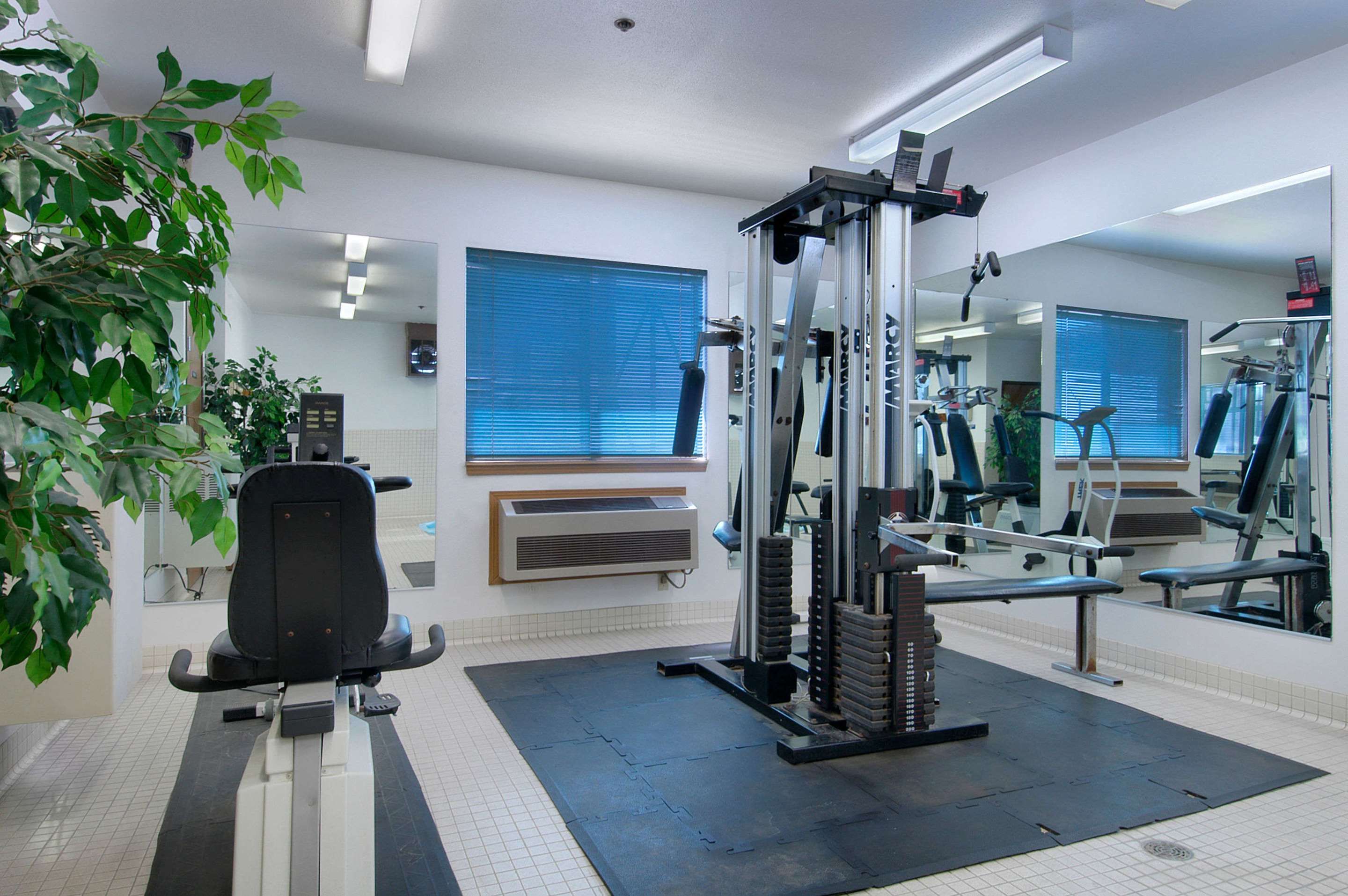 Fitnessbereich
