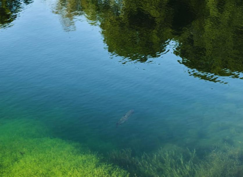 Außenansicht Foto
