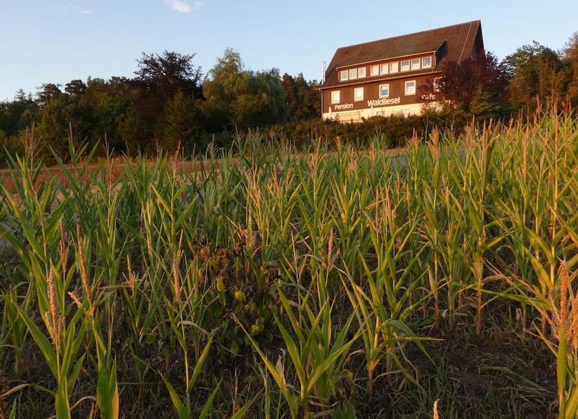 Außenansicht Foto