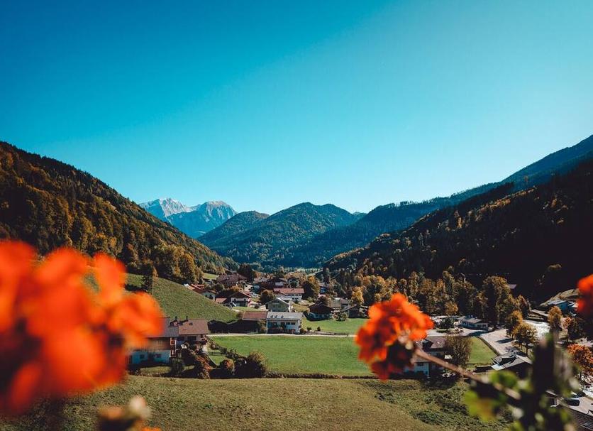 Sonstige Foto