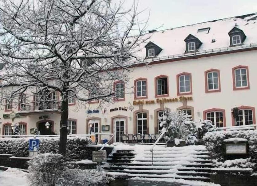 Sonstige Foto