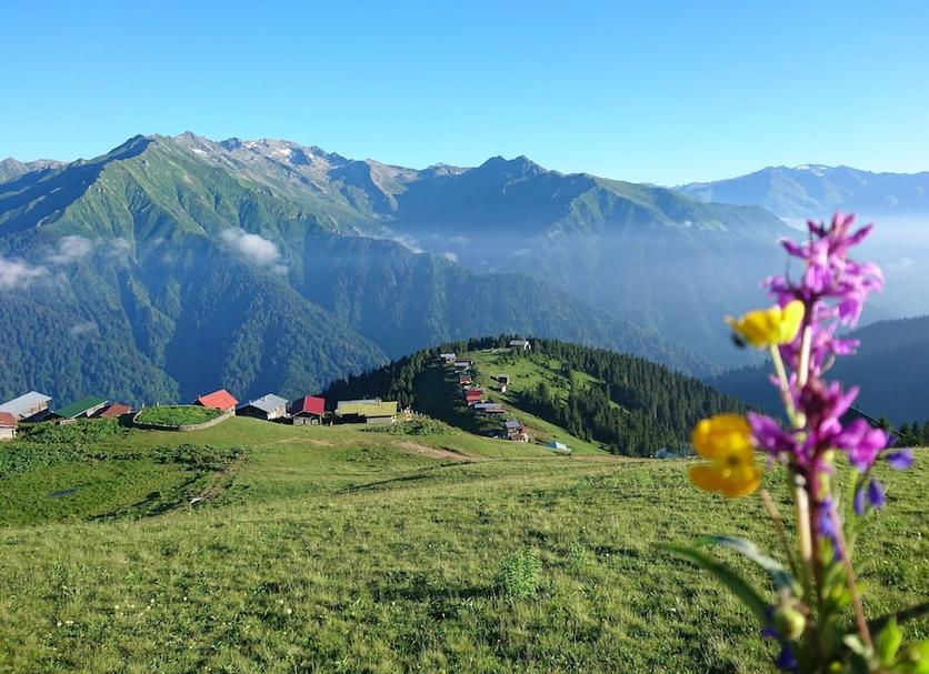 Außenansicht Foto