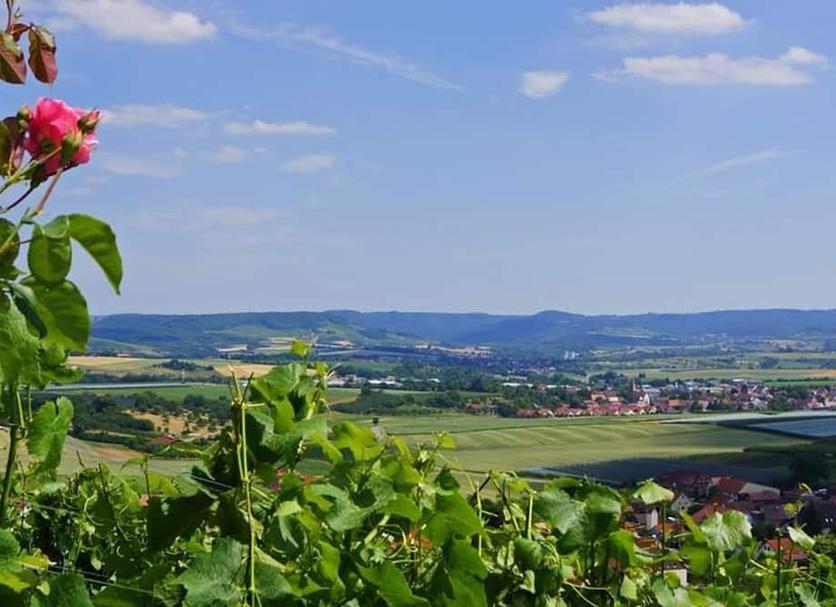 Außenansicht Foto