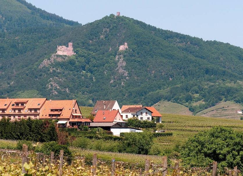 Außenansicht Foto