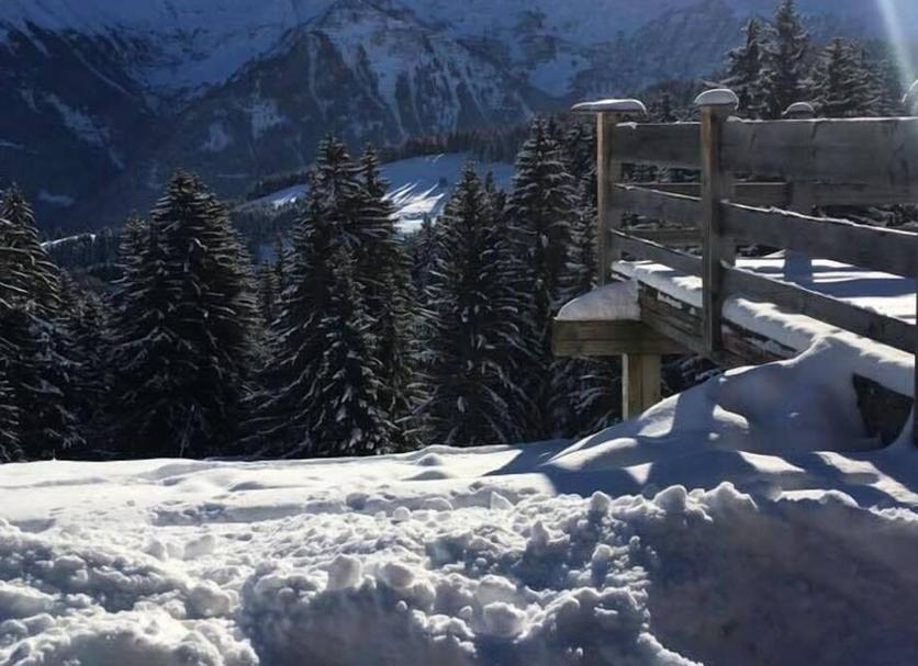 Außenansicht Foto