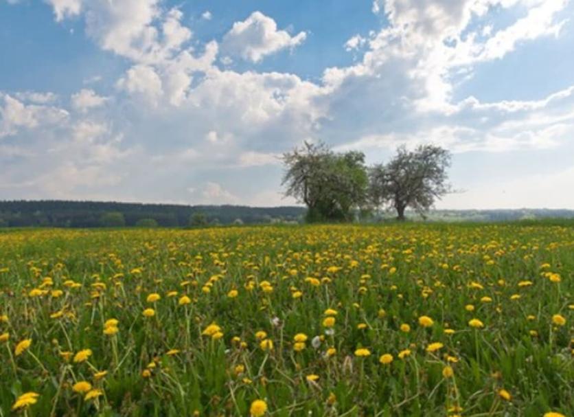 Außenansicht Foto