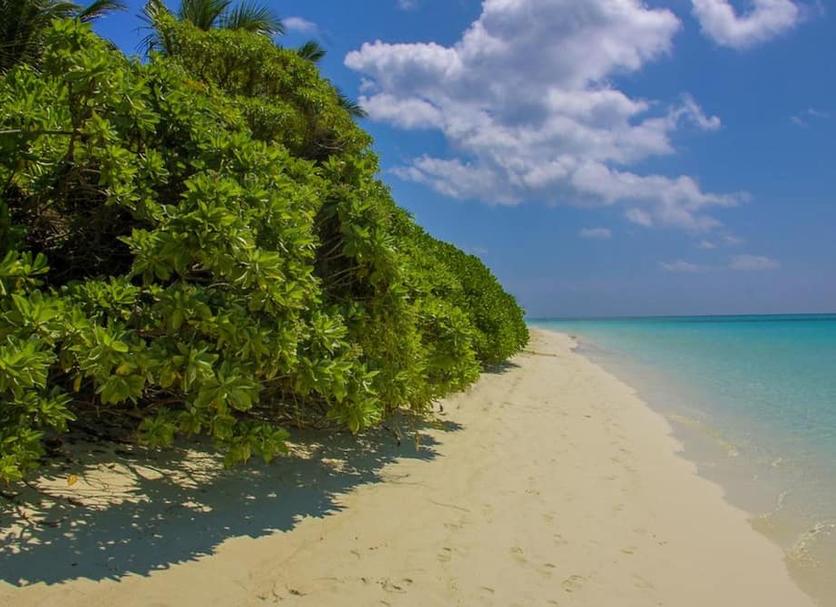 Strand Foto