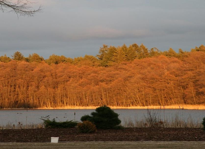 Außenansicht Foto