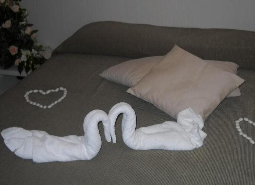 Sonstige Foto