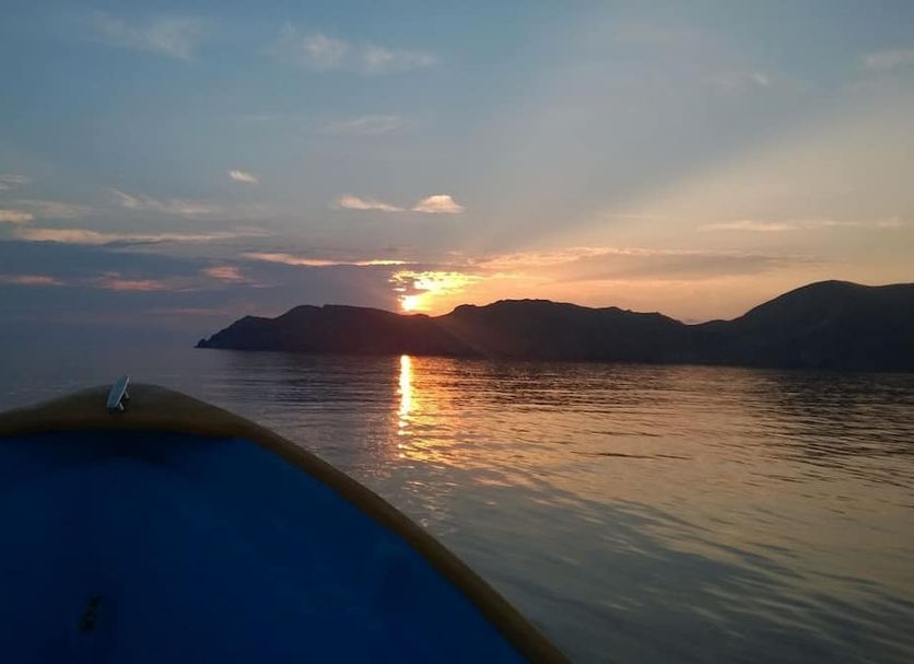 Sonstige Foto