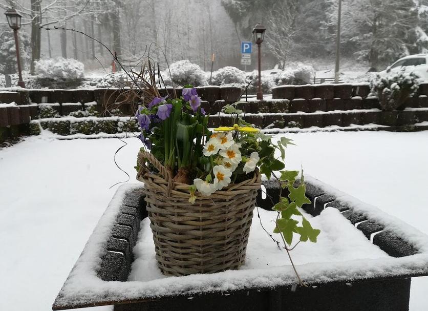 Außenansicht Foto