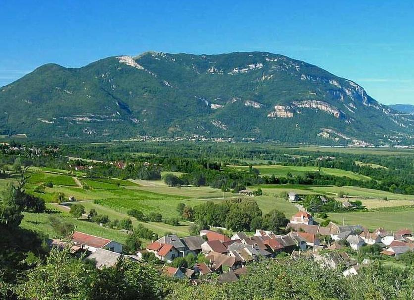 Außenansicht Foto