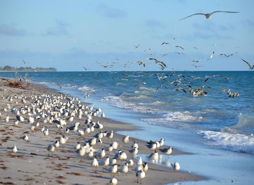 Strand Foto