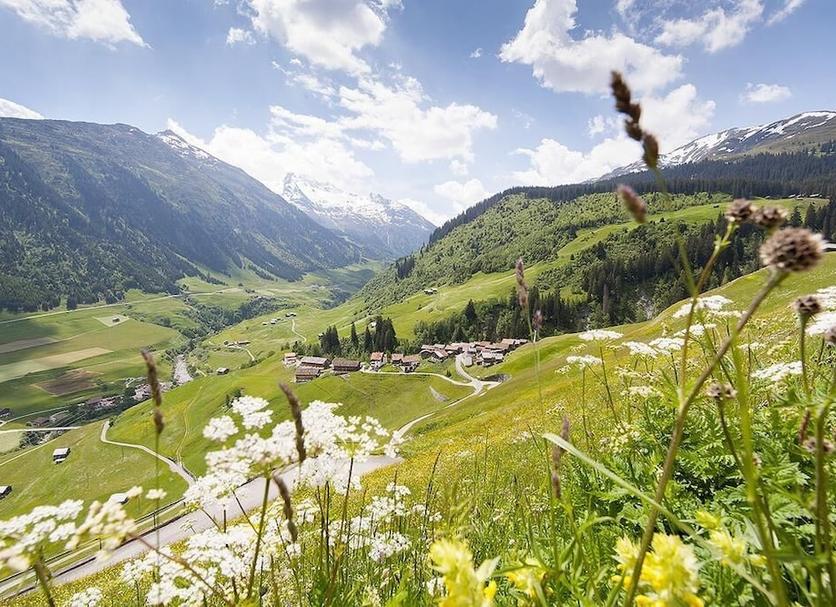 Außenansicht Foto