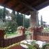 Sonstige