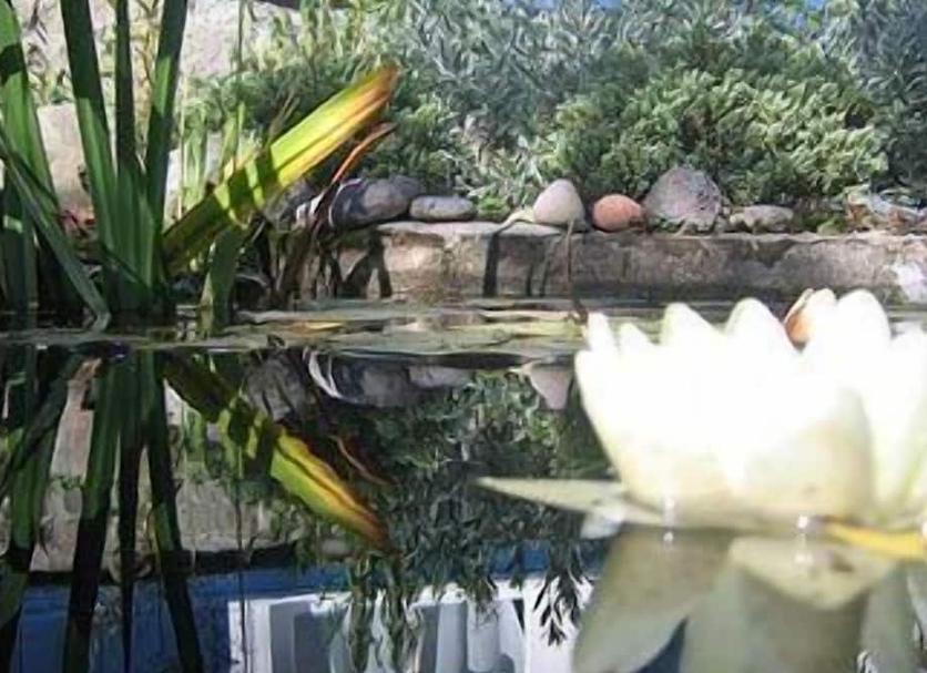 Außenansicht Foto