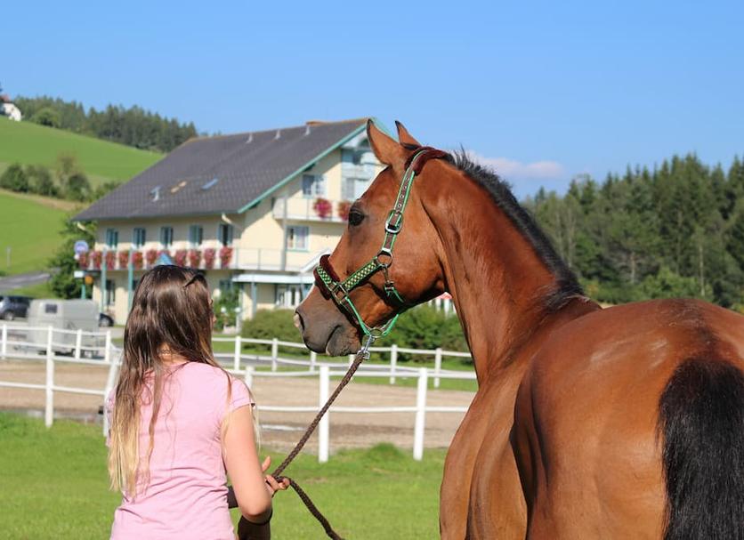 Sonstige Foto