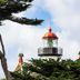 Sonstige