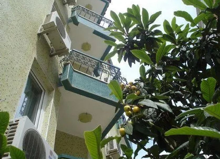 Sonstige Foto