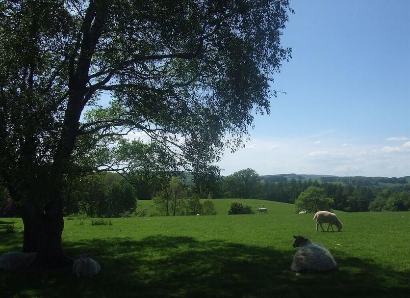 Außenansicht Foto