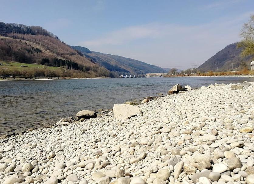 Sonstige Foto