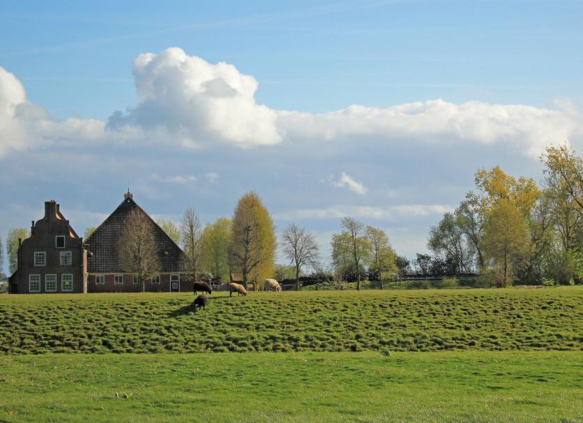 Außenansicht Foto