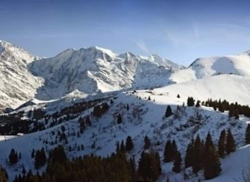 Außenansicht Foto