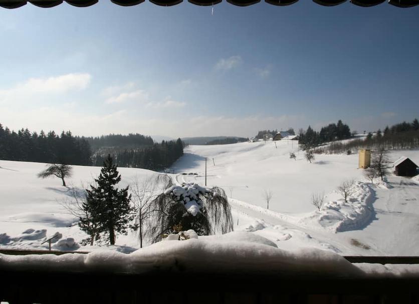 Sonstige Foto