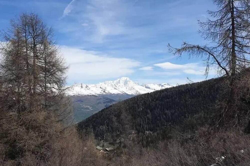 Außenansicht Foto