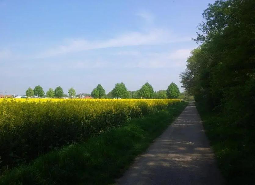 Außenansicht Foto