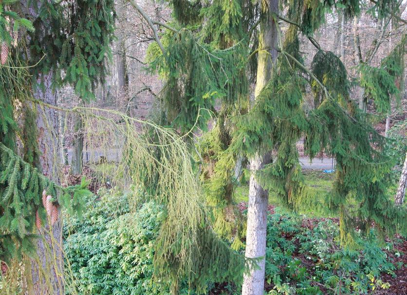 Außenansicht Foto