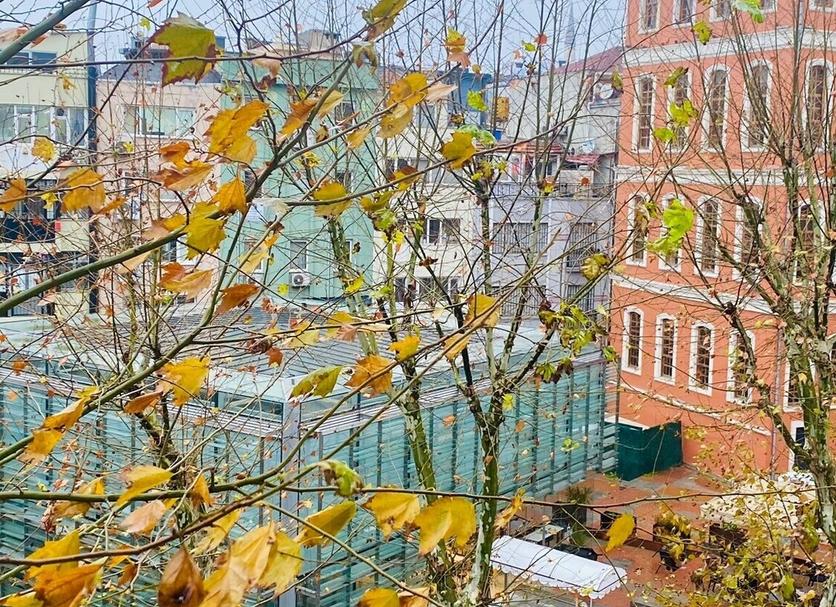 Außenansicht Foto