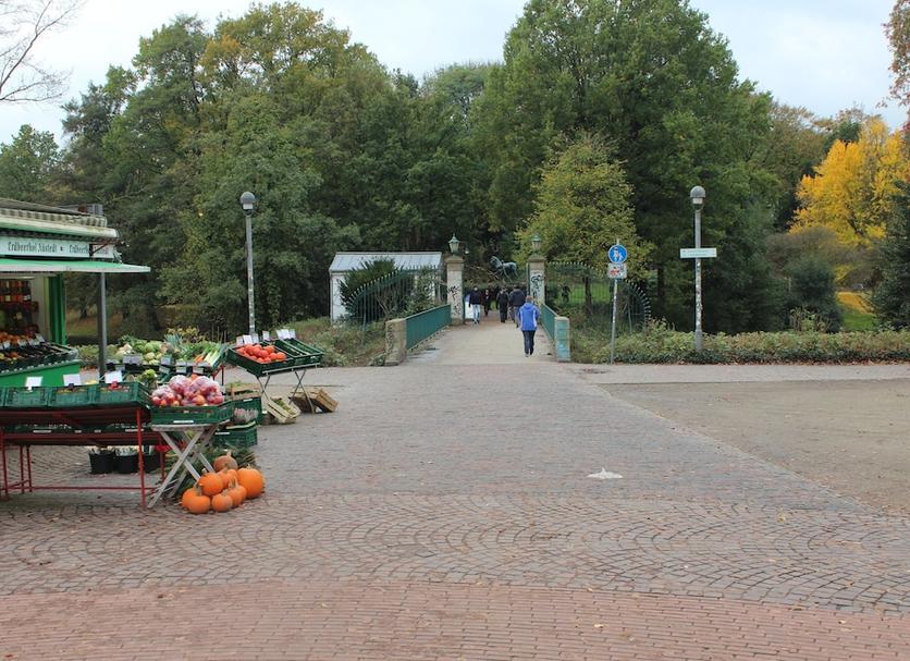 Sonstige Foto