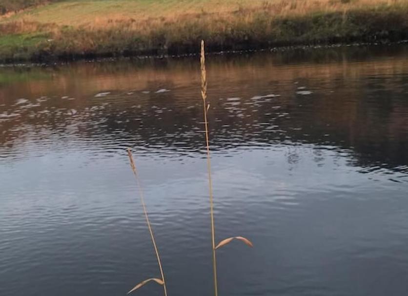 Außenansicht Foto
