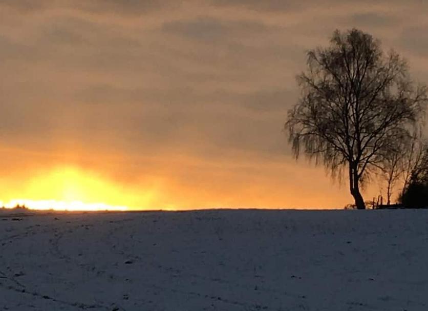 Sonstige Foto