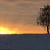 Sonstige