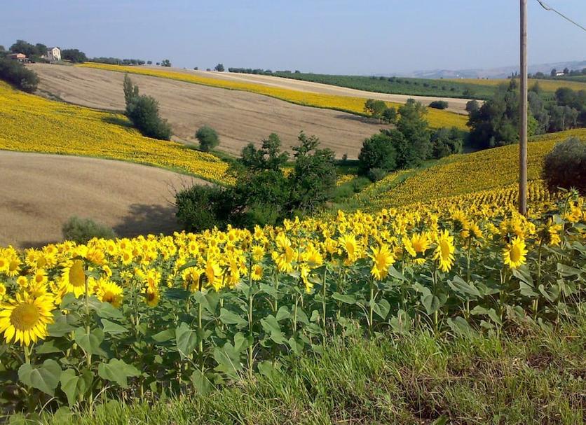 Außenansicht Foto