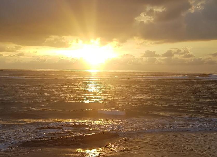 Sonstige Foto